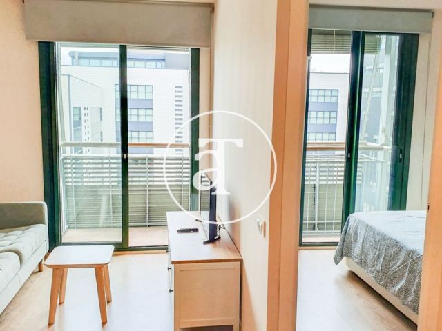 Bright furnished apartment in Poblenou 3
