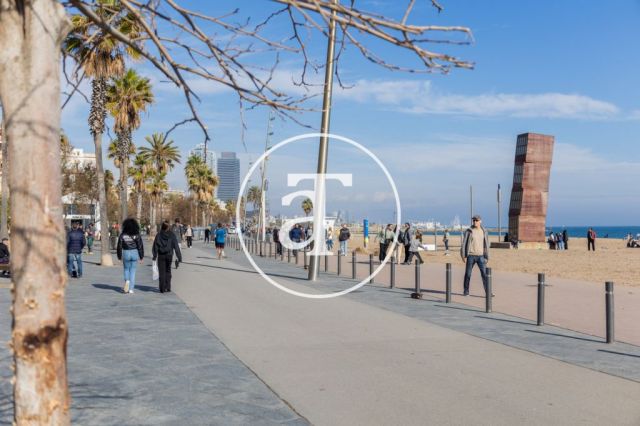 Location temporaire d'un appartement avec 2 chambres, studio et 1 salle de bain à La Barceloneta 36