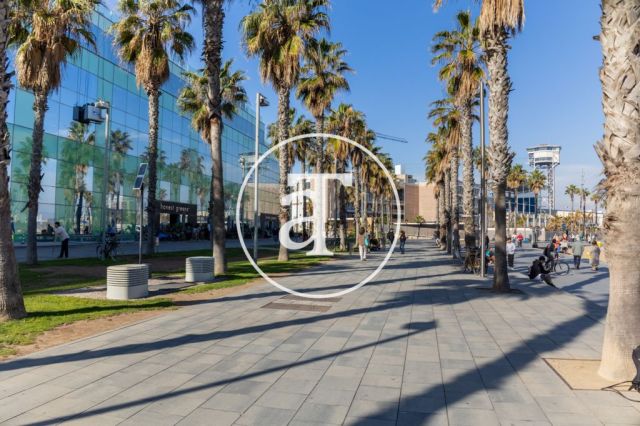 Location temporaire d'un appartement avec 2 chambres, studio et 1 salle de bain à La Barceloneta 34