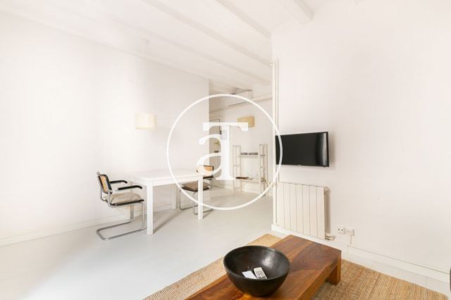 Appartement d'une chambre à louer temporairement au Palau de la Música 9