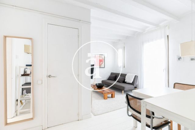 Appartement d'une chambre à louer temporairement au Palau de la Música 32