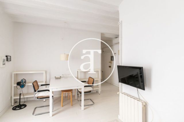 Appartement d'une chambre à louer temporairement au Palau de la Música 26