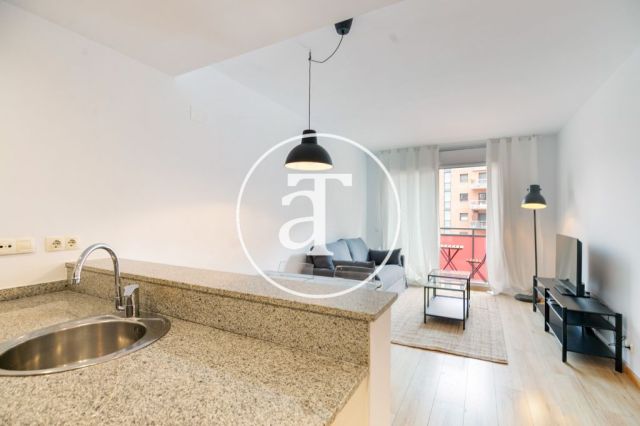 Monthly rental apartment with 2 bedrooms and 1 bathroom with terrace and communal pool in Poblenou 10