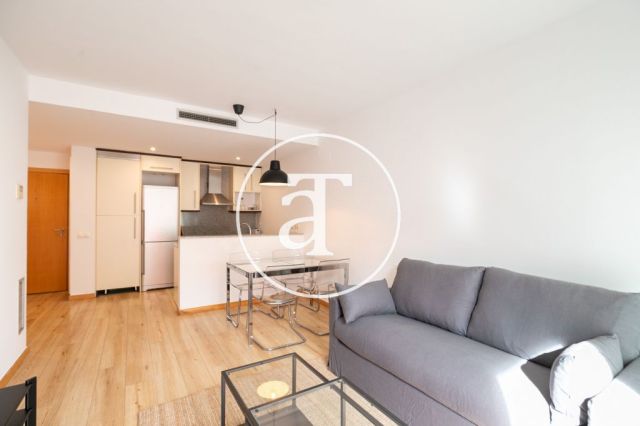 Monthly rental apartment with 2 bedrooms and 1 bathroom with terrace and communal pool in Poblenou 9