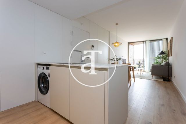 Piso de alquiler temporal de 1 habitación y 1 baño con balcón con impresionantes vistas a la Sagrada Familia 14