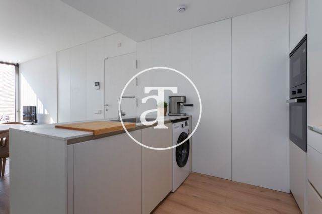 Monthly rental apartment with 2 bedrooms and 2 bathrooms with balcony and stunning views of the Sagrada Familia. 15