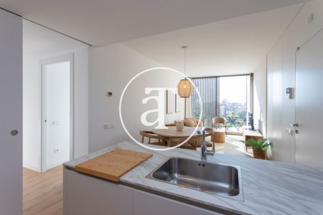 Monthly rental apartment with 2 bedrooms and 2 bathrooms with balcony and stunning views of the Sagrada Familia. 12
