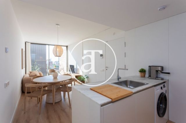 Monthly rental apartment with 2 bedrooms and 2 bathrooms with balcony and stunning views of the Sagrada Familia. 13