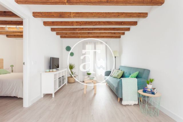 Monthly rental apartment in central area of Barcelona 2