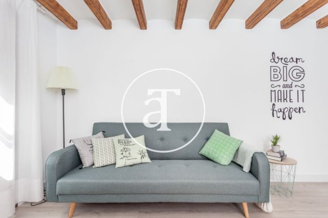 Monthly rental apartment in central area of Barcelona 4