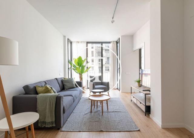 Appartement en location temporaire avec 3 chambres doubles et piscine commune 4