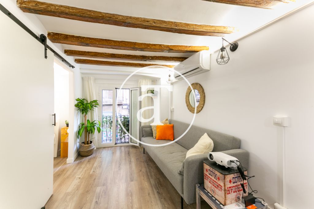 Monthly rental apartment with 2 bedrooms in the center of Barcelona