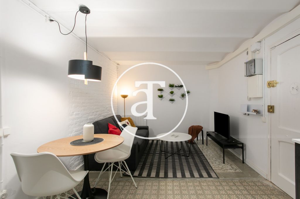 Monthly rental apartment with 2 bedrooms steps away from Poble Sec Station 1
