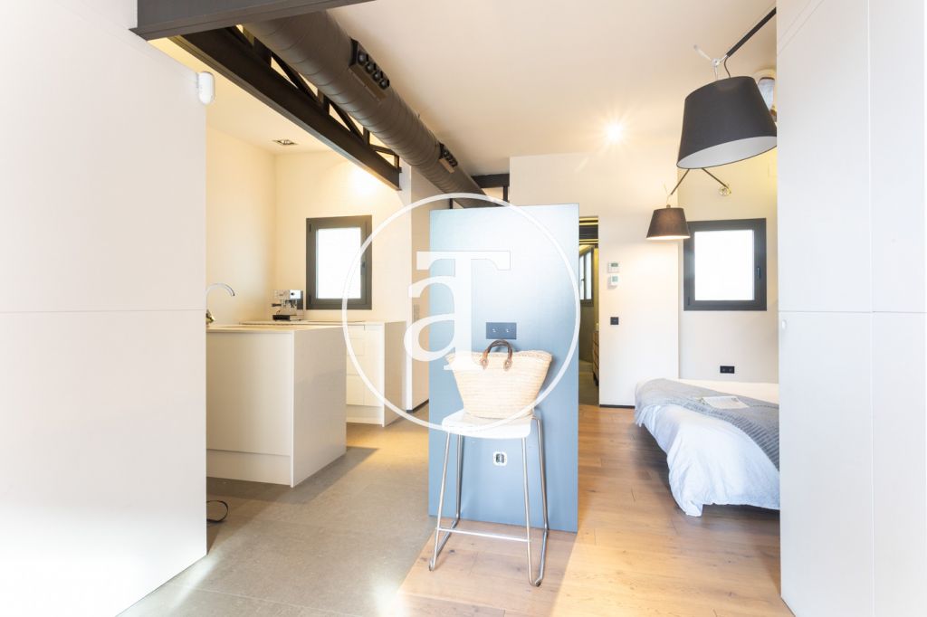 Monthly rental apartment with 1 bedroom suite with balcony in the Eixample 19