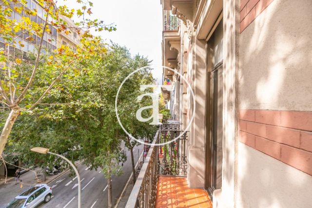 Bright, furnished apartment steps away from EADA Business School 7