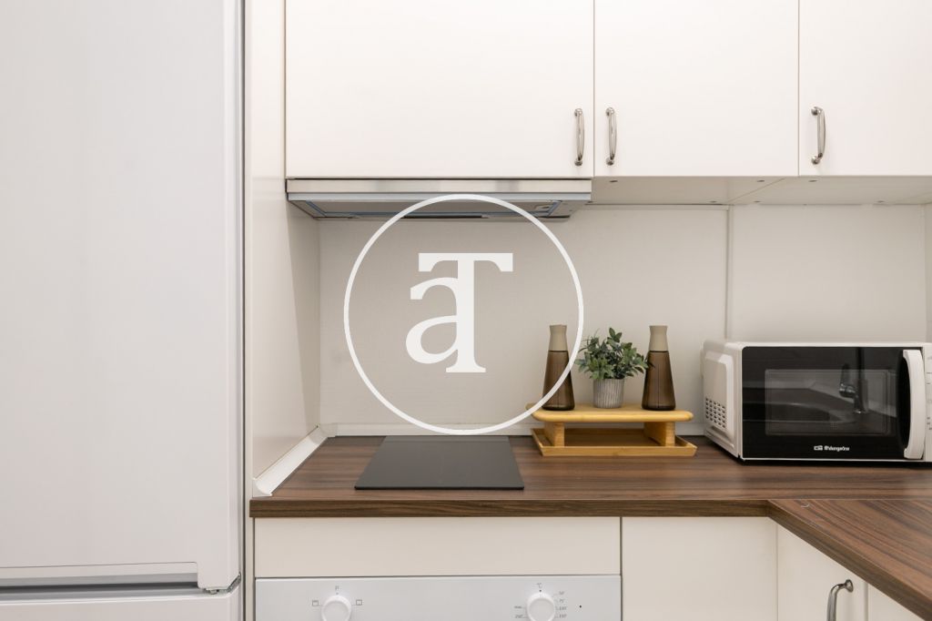 Piso de alquiler temporal de 1 habitación y 1 baño en el Eixample 13