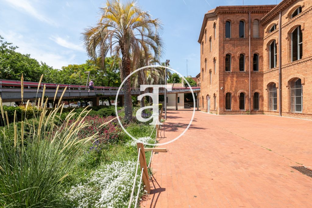Monthly rental apartment with 3 bedrooms in Hospitalet 29