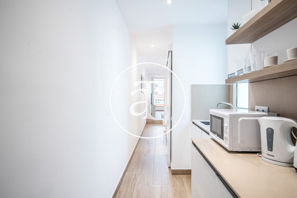 Ático de alquiler temporal de 1 habitación con fabulosa terraza privada en Paseo Sant Joan 15