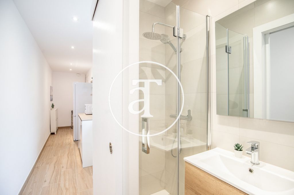 Monthly rental penthouse with 1 bedroom and amazing private terrace on Paseo Sant Joan 25