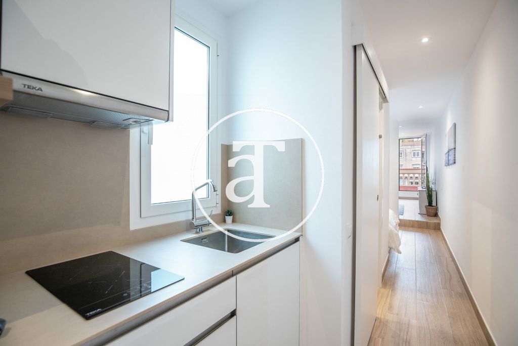 Monthly rental penthouse with 1 bedroom and amazing private terrace on Paseo Sant Joan 21