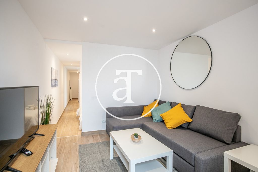 Monthly rental penthouse with 1 bedroom and amazing private terrace on Paseo Sant Joan 12
