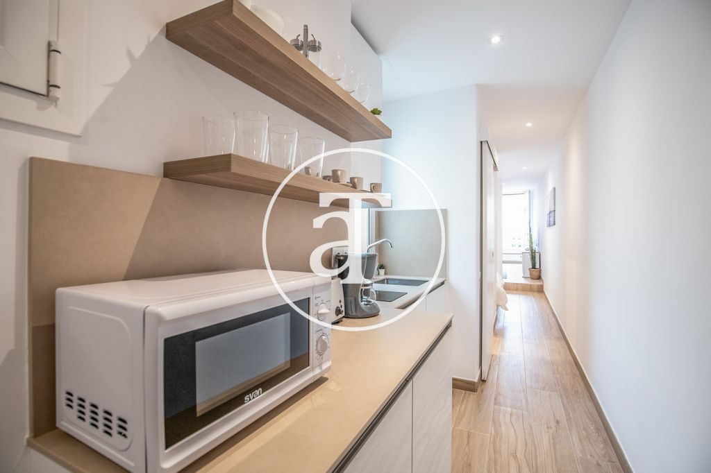 Monthly rental penthouse with 1 bedroom and amazing private terrace on Paseo Sant Joan 20