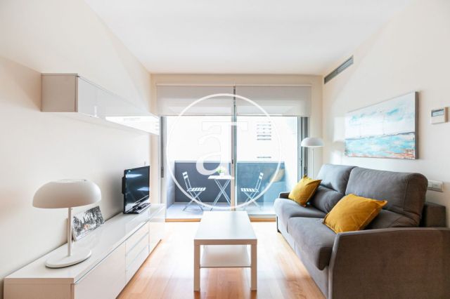 Location temporaire d'un appartement meublé avec terrasse à Barcelone 2