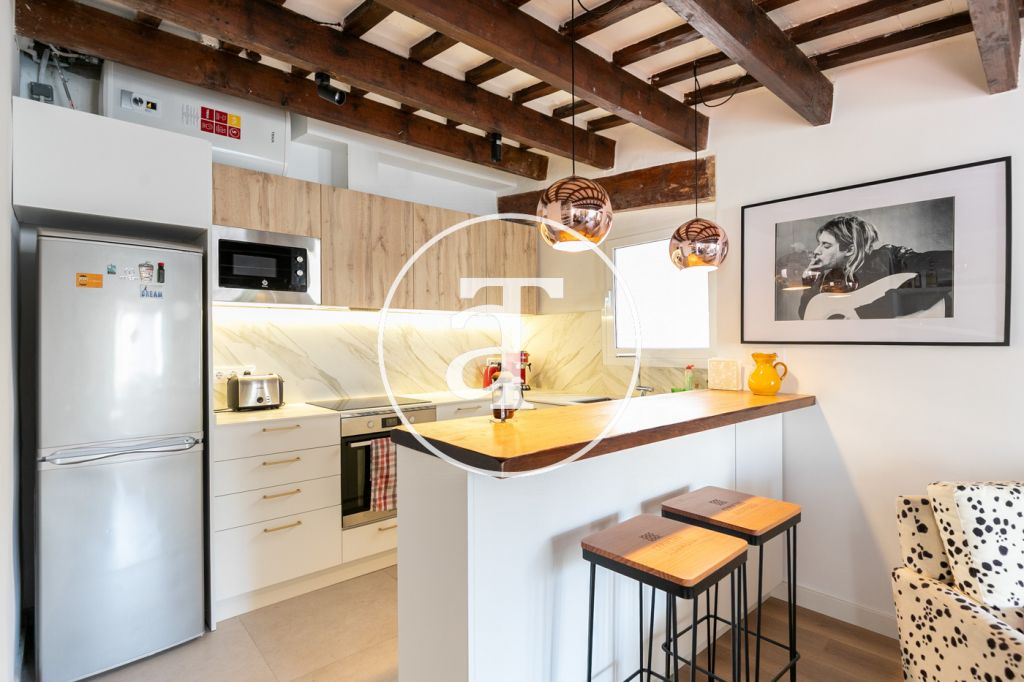 Appartement temporaire à louer avec 1 chambre, 1 salle de bain et terrasse à El Born 10