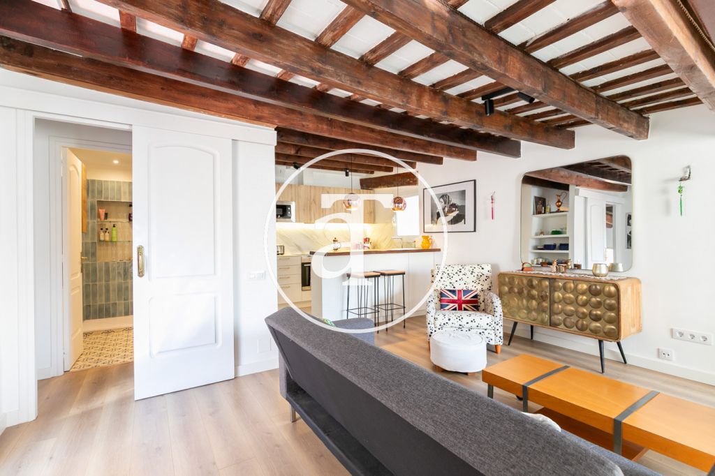 Appartement temporaire à louer avec 1 chambre, 1 salle de bain et terrasse à El Born 13