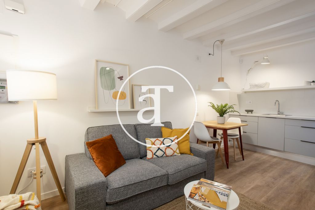 Monthly rental apartment with 1 bedroom a few minutes from Montjuic 2