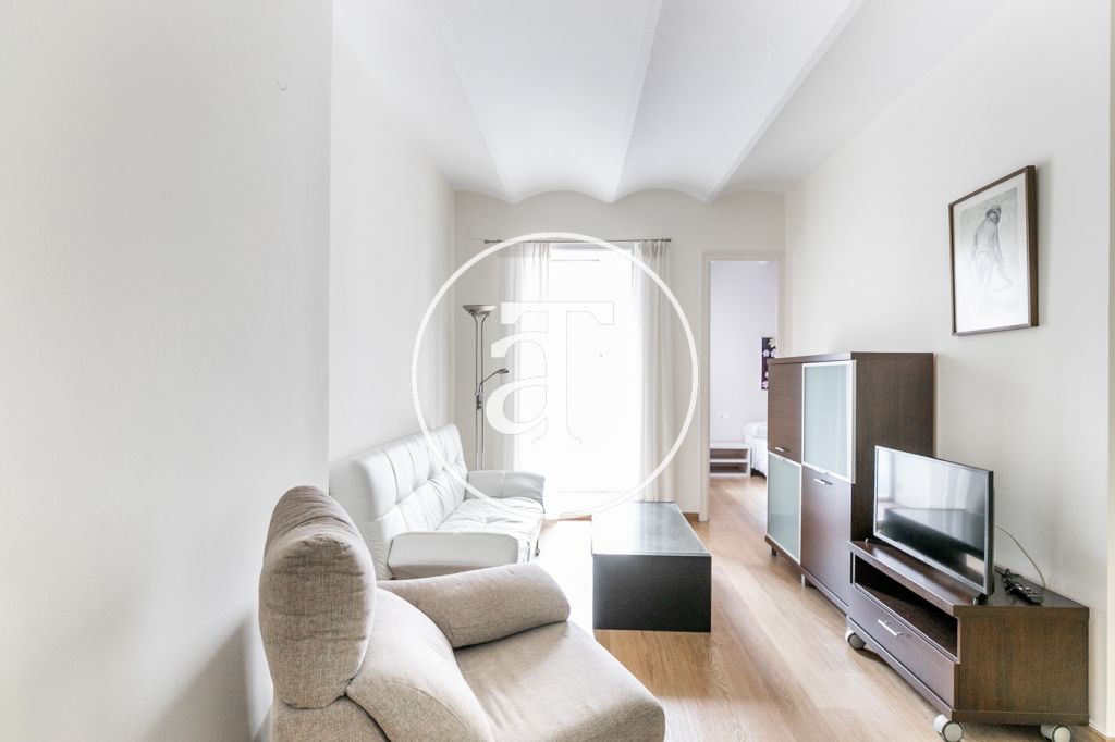 Monthly rental apartment close to the Hospital Sant Pau in Barcelona 2