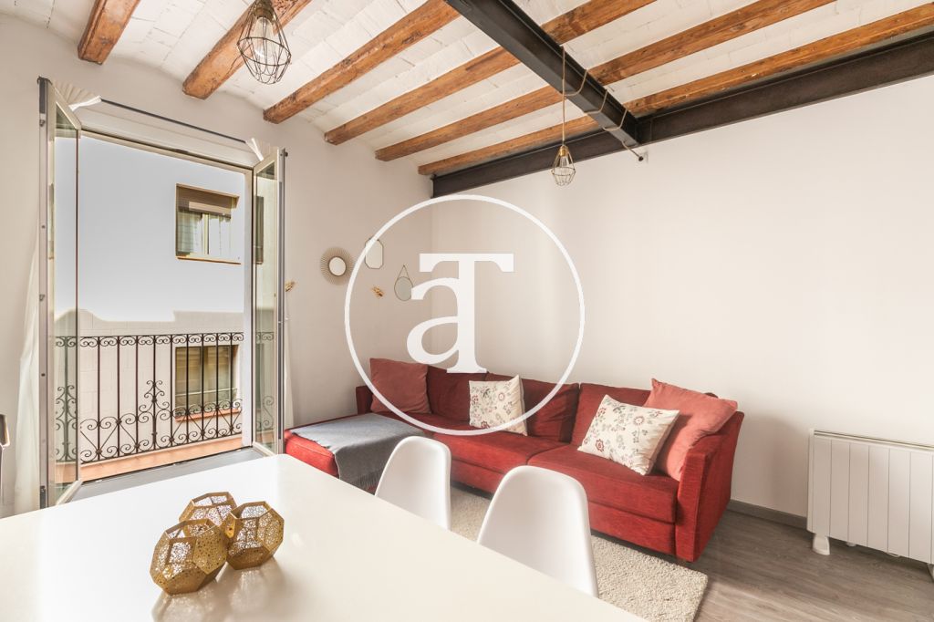 Fantástico y cómodo apartamento en Sant Antoni - Raval 1