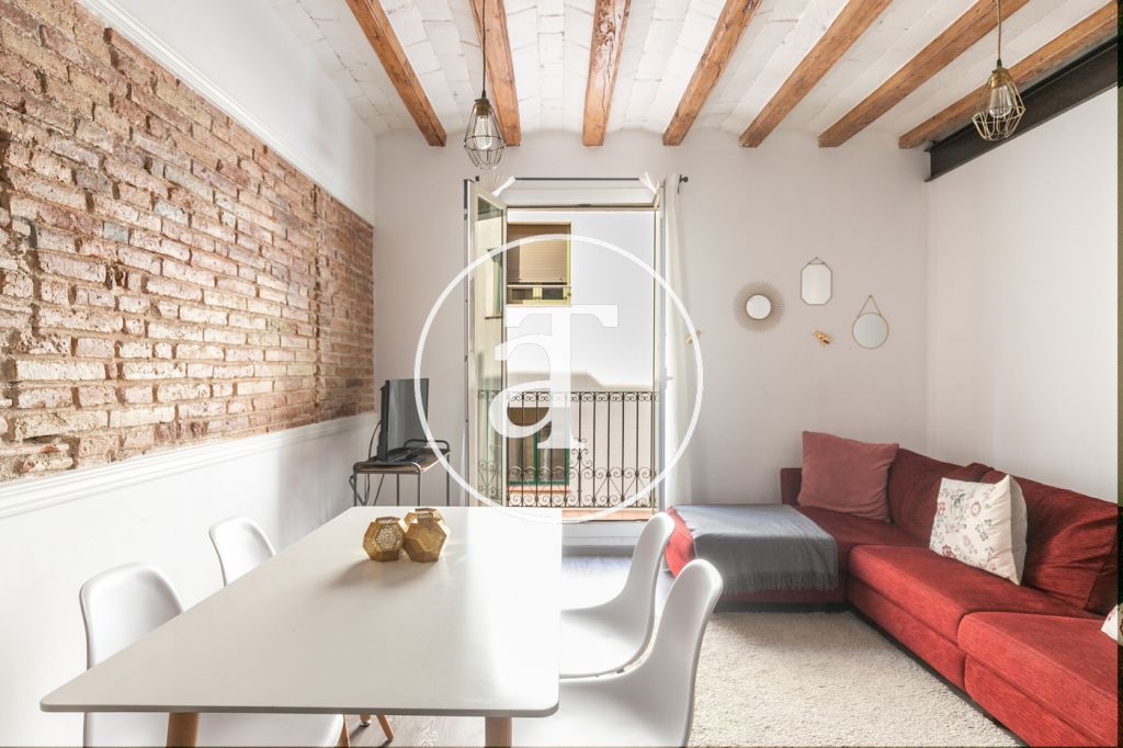 Fantástico y cómodo apartamento en Sant Antoni - Raval 2