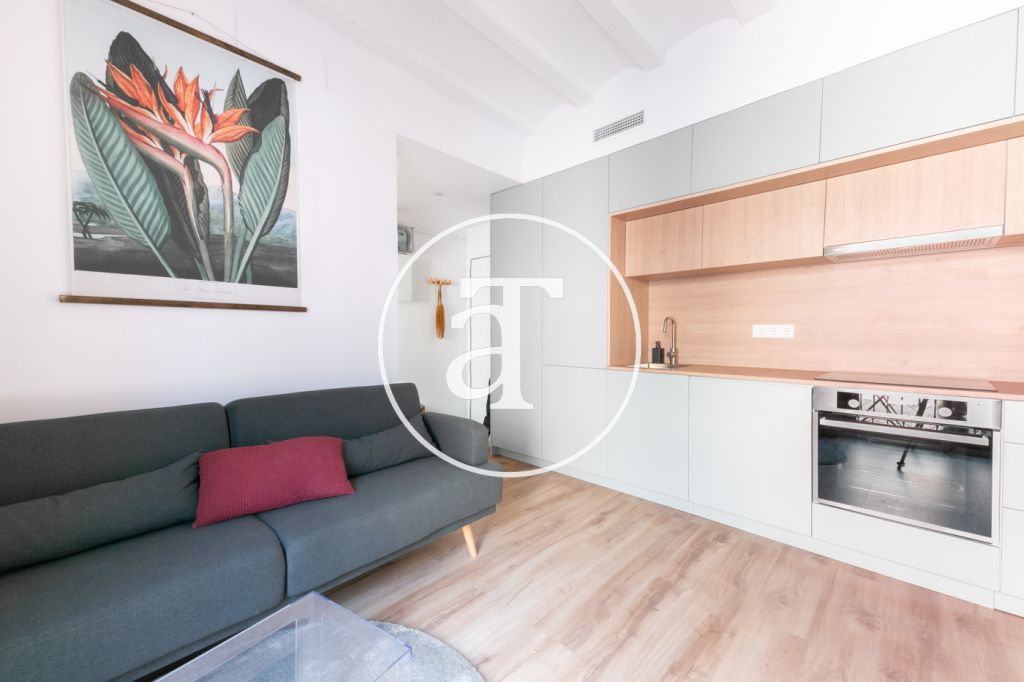 Furnished and equipped apartment on Guifre street, Barcelona 2
