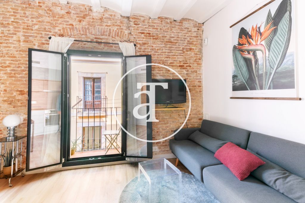 Furnished and equipped apartment on Guifre street, Barcelona 1
