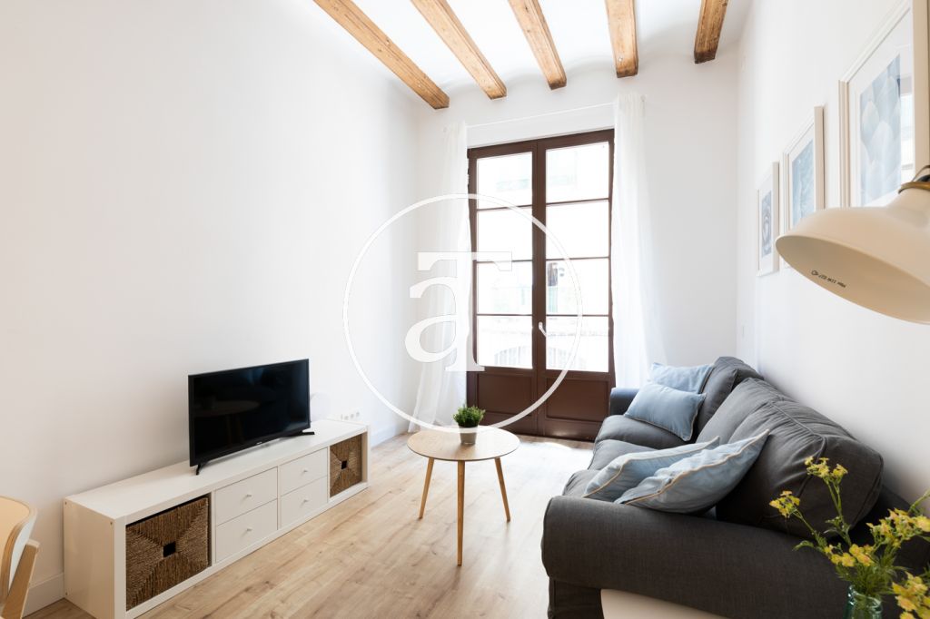 Alquiler temporal de apartamento de 3 habitaciones en Barcelona 1