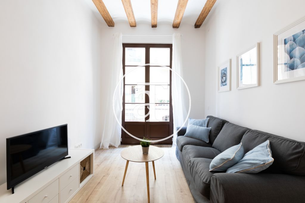 Monthly rental apartment with 3 bedrooms in Barcelona (Discount for a stay of more than 6 months) 2