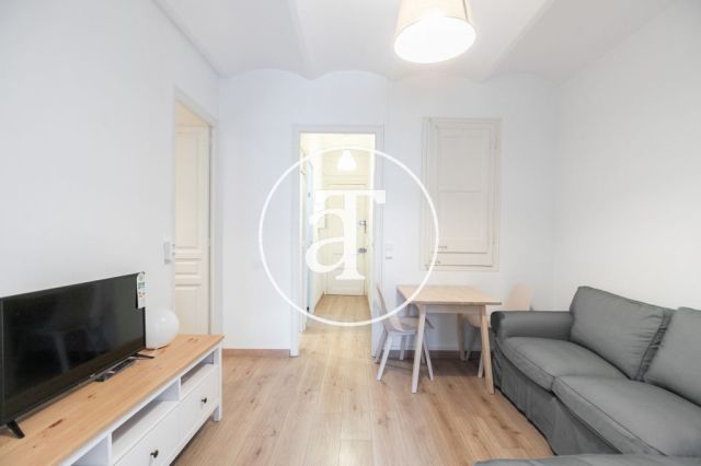 Bright furnished apartment in Poblenou 1