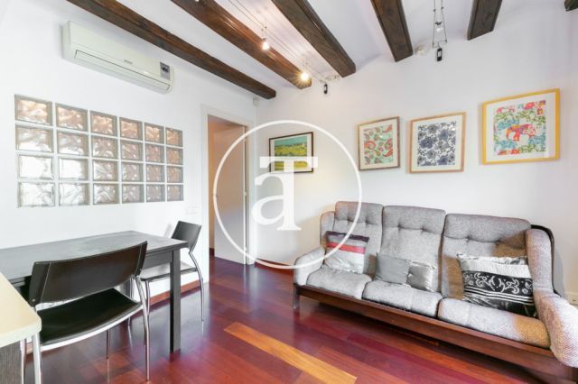 Monthly rental apartment in central area of Barcelona 2