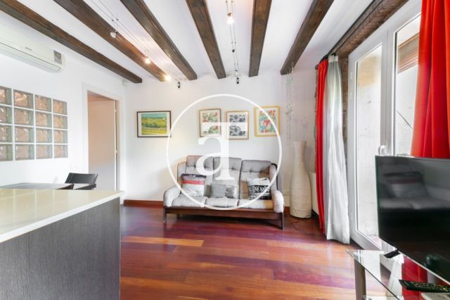 Monthly rental apartment in central area of Barcelona 4