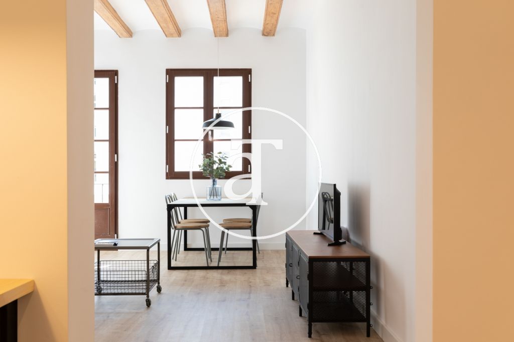 Alquiler temporal de apartamento de 2 habitaciones en Barcelona (Descuento por estancia de más de 6 meses) 36
