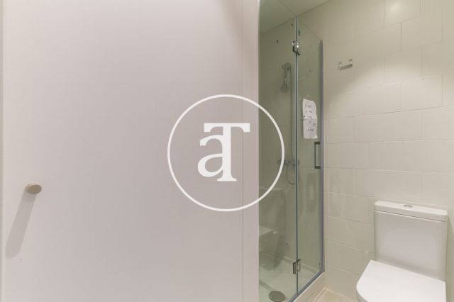 Apartamento de alquiler temporal de 2 habitaciones dobles en Eixample 29