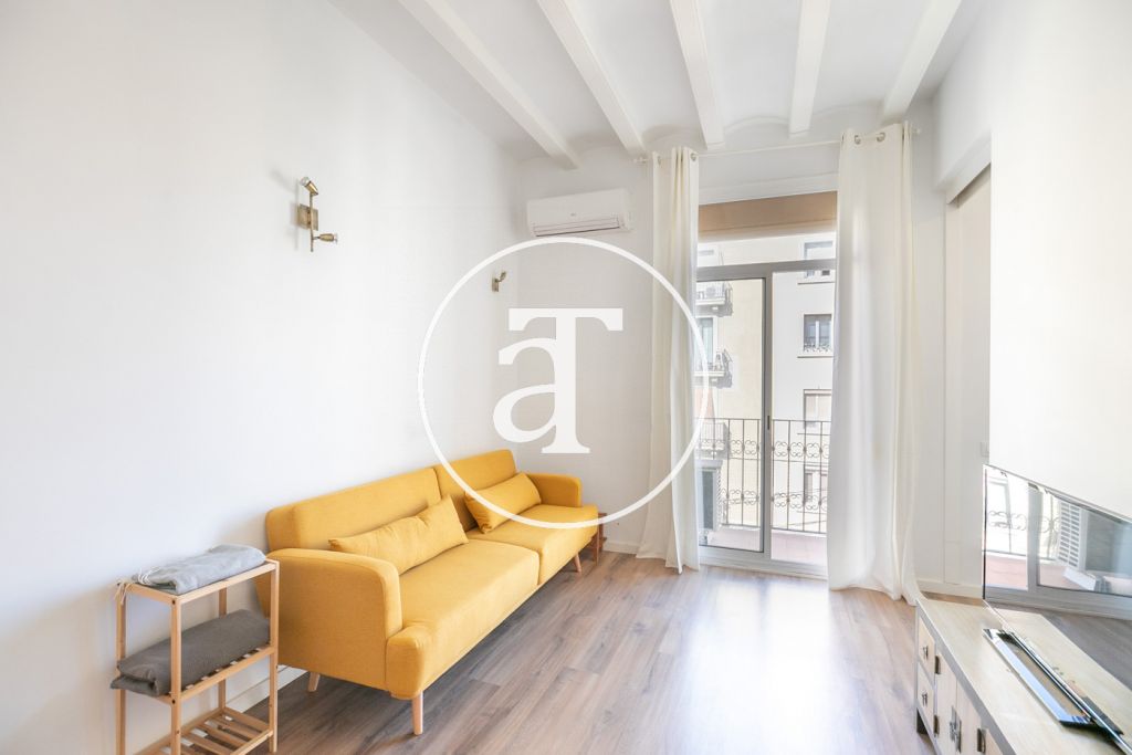 Monthly rental apartment with 1 bedroom in Poble Nou