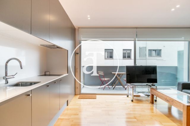 Monthly rental apartment with outdoor terrace steps from Parque Güell 17