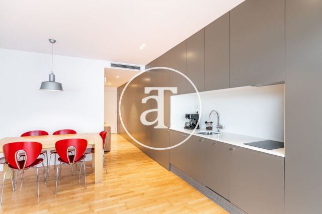 Monthly rental apartment with outdoor terrace steps from Parque Güell 6