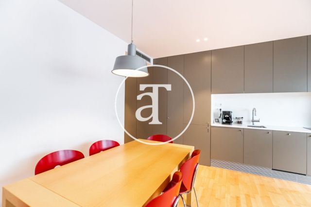 Monthly rental apartment with outdoor terrace steps from Parque Güell 8