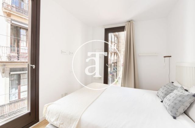 Apartamento de alquiler temporal con 2 habitaciones en barrio El Born 17