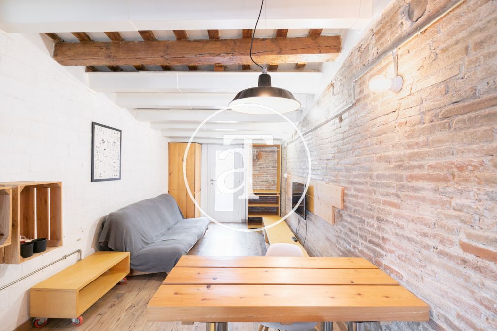 Monthly rental apartment in a central area of Barcelona 2