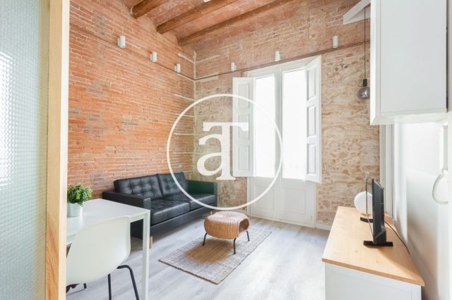Monthly rental apartment with one bedroom in Gracia 2