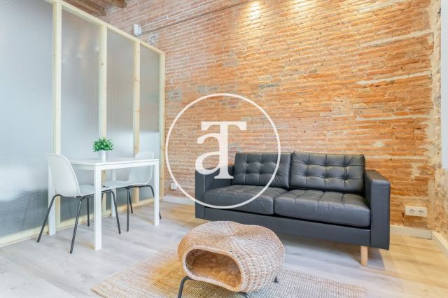 Monthly rental apartment with one bedroom in Gracia 4